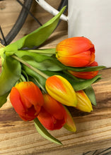 Charger l'image dans la galerie, Tulipe - choix de couleurs
