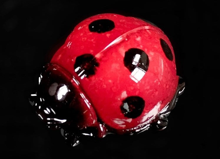 Coccinelle