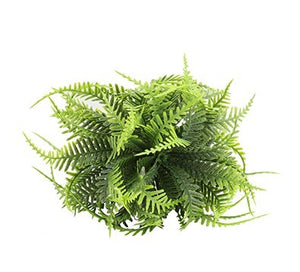 Plante en boule - 2 formats