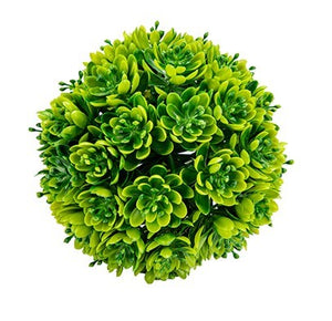 Plante en boule - 2 formats
