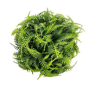 Plante en boule - 2 formats