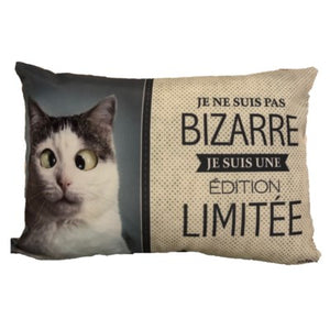 Coussin - Chat bizarre