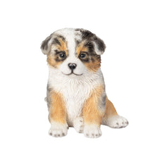 Charger l'image dans la galerie, Chien - Berger australien
