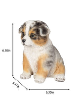Charger l'image dans la galerie, Chien - Berger australien
