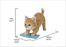 Charger l'image dans la galerie, Chat qui joue
