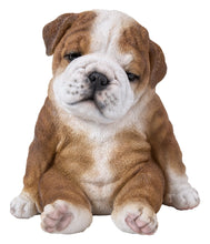 Charger l'image dans la galerie, Bulldog assis
