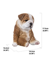 Charger l'image dans la galerie, Bulldog assis

