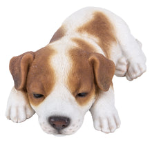 Charger l'image dans la galerie, Jack Russell qui dort
