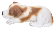 Charger l'image dans la galerie, Jack Russell qui dort
