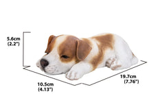 Charger l'image dans la galerie, Jack Russell qui dort

