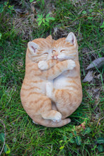 Charger l'image dans la galerie, Chats qui dorment
