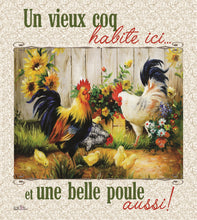 Charger l'image dans la galerie, Lavette suédoise - plusieurs modèles
