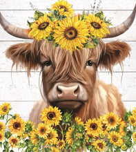 Charger l'image dans la galerie, Lavette suédoise - plusieurs modèles
