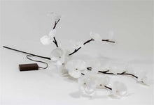 Charger l'image dans la galerie, Fleur orchidée avec lumière
