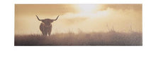 Charger l'image dans la galerie, Toile - vache highland
