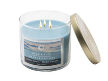 Charger l'image dans la galerie, Bougie parfumée 3 mèches - 14 oz - 3 odeurs
