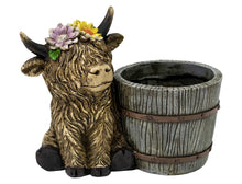 Charger l'image dans la galerie, Vase pour plantes - vache highland
