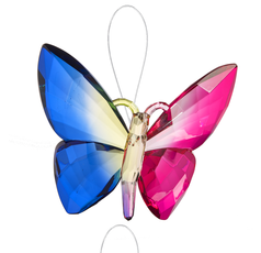 Papillon acrylique - 6 choix
