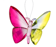 Papillon acrylique - 6 choix
