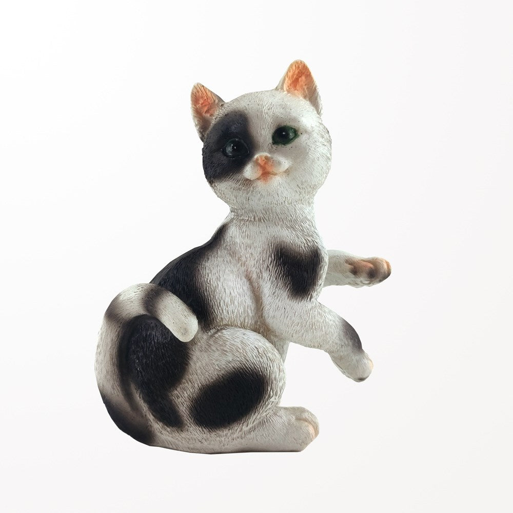 Chat noir et blanc - 2 modèles