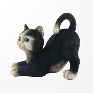 Chat noir et blanc - 2 modèles