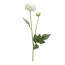 Charger l'image dans la galerie, Chrysanthème avec bourgeon - 2 couleurs
