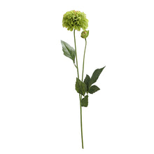Charger l'image dans la galerie, Chrysanthème avec bourgeon - 2 couleurs
