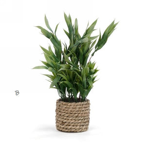 Plante feuillage pot en rotin - 2 modèles