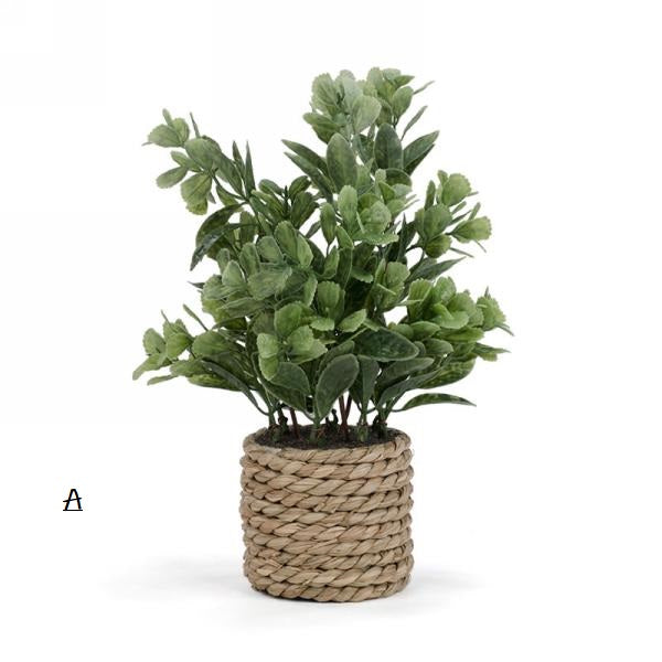 Plante feuillage pot en rotin - 2 modèles