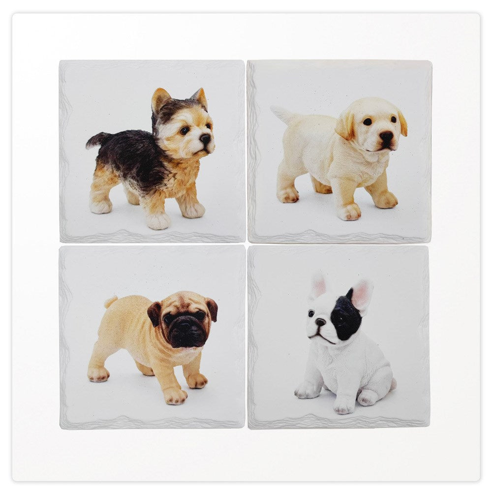 Sous-verres - Chiens