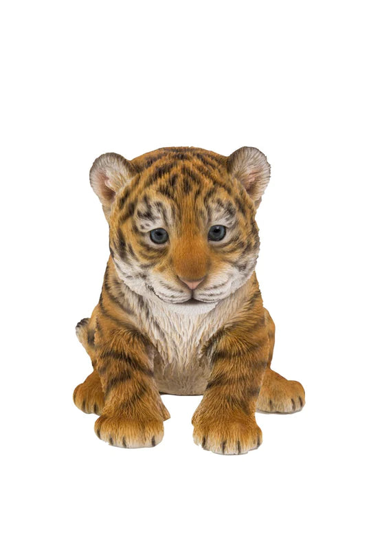 Bébé tigre