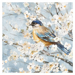 Cadre - Oiseau bleu & fleurs blanches