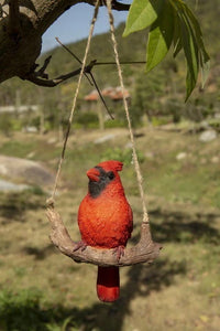 Cardinal sur branche