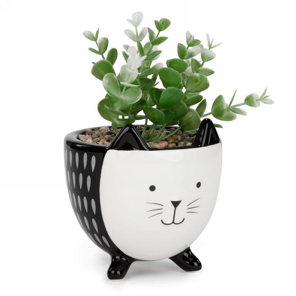 Plante dans vase chat noir et blanc