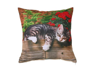 Coussin - Chat