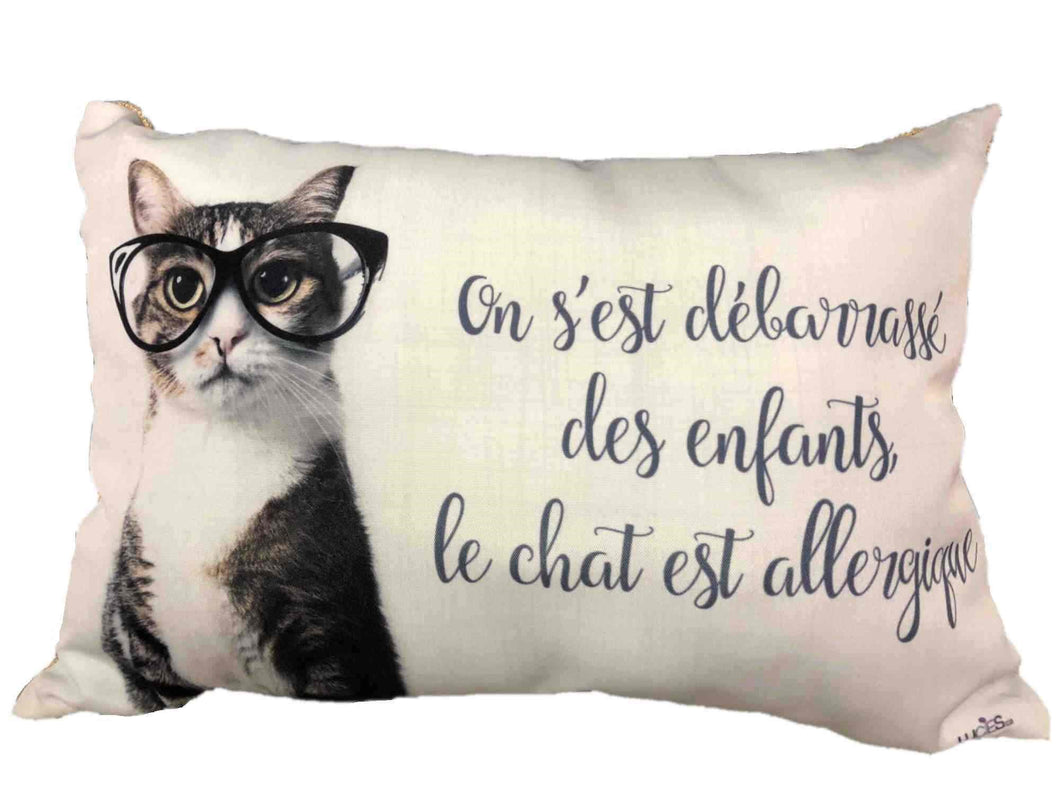 Coussin - On s'est débarrassé....