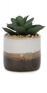 Plante artificielle dans pot en céramique - 2 couleurs
