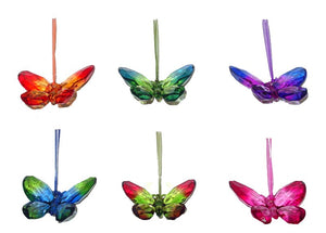 Papillon acrylique - 6 choix de couleurs