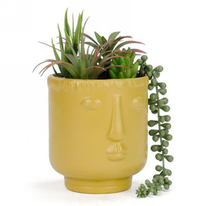 Plante artificielle dans pot avec visage