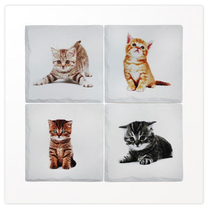 Sous-verres - Chatons